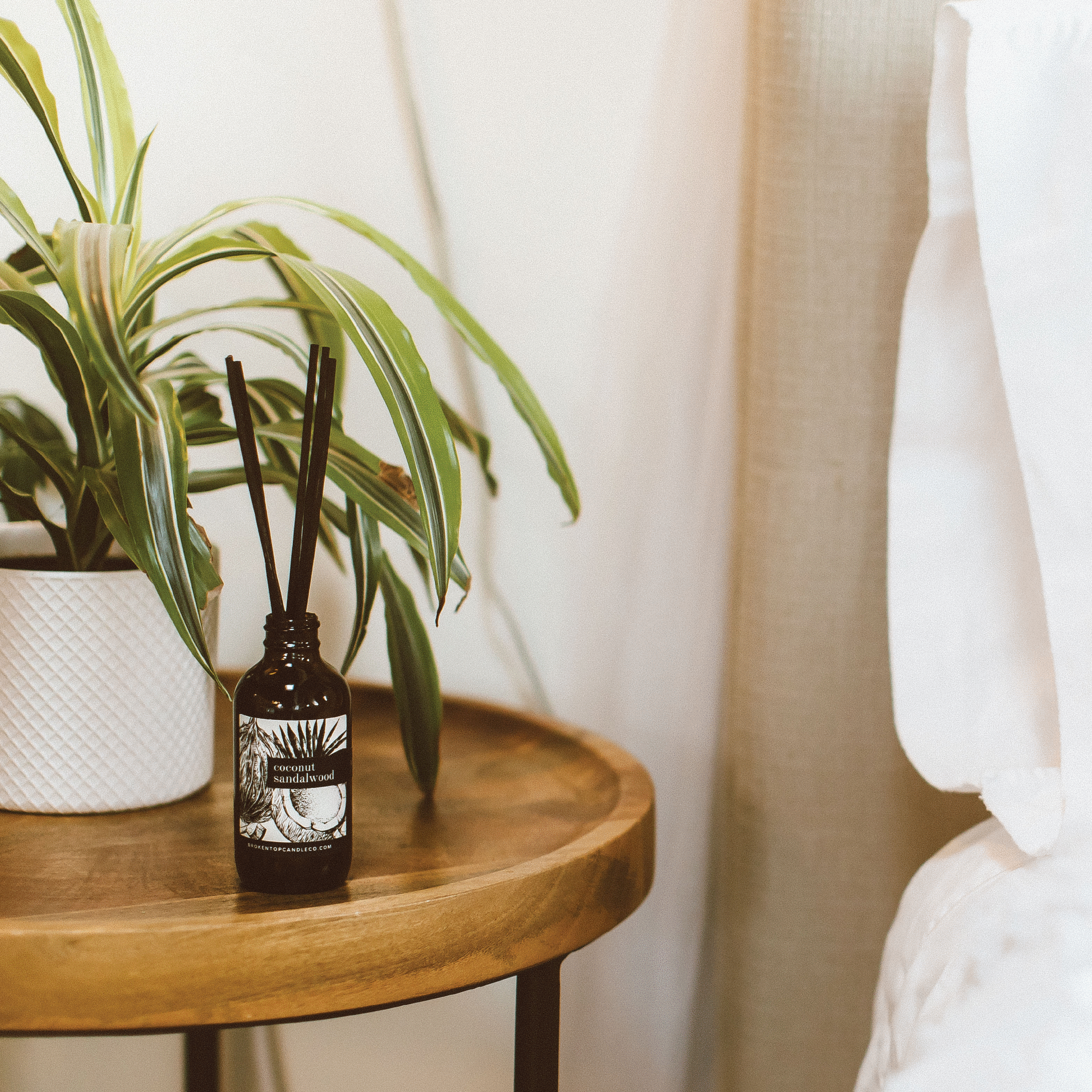 Coconut Sandalwood Reed Diffuser on a wooden side table next to a plant. 