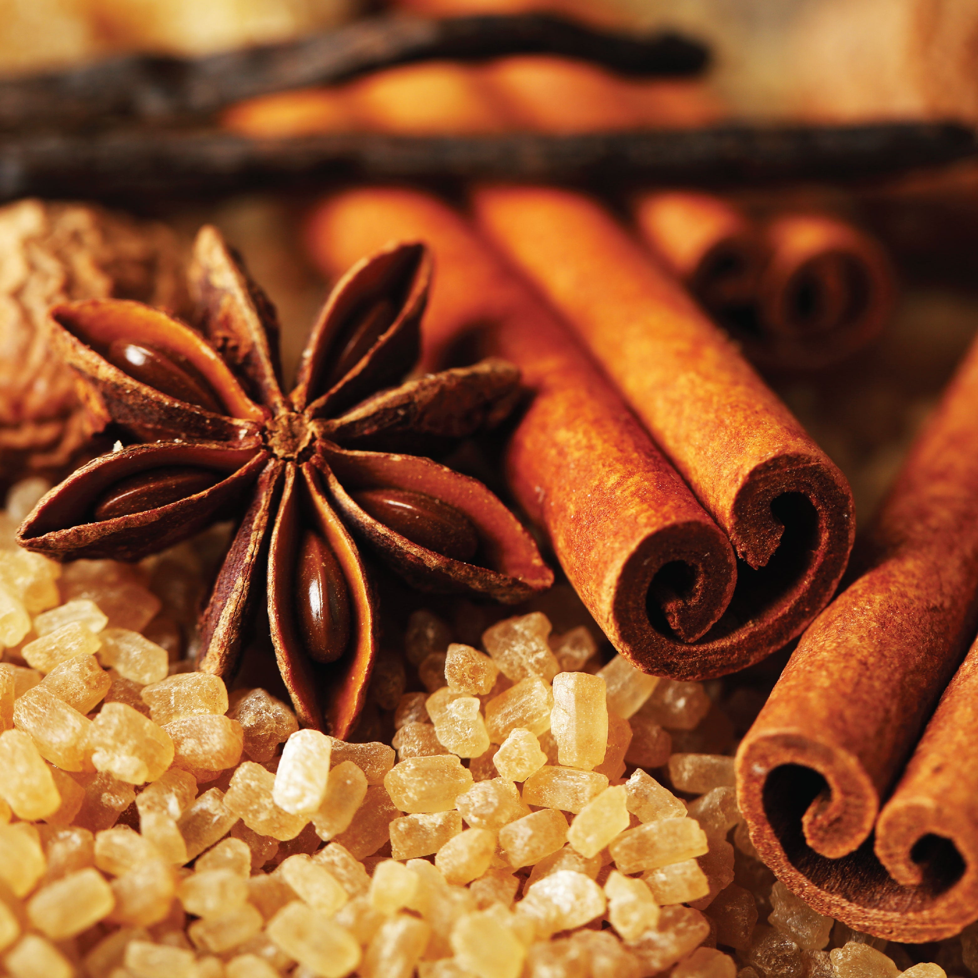 Cardamom, vanilla beans, cinnamon sticks, and brown sugar. 