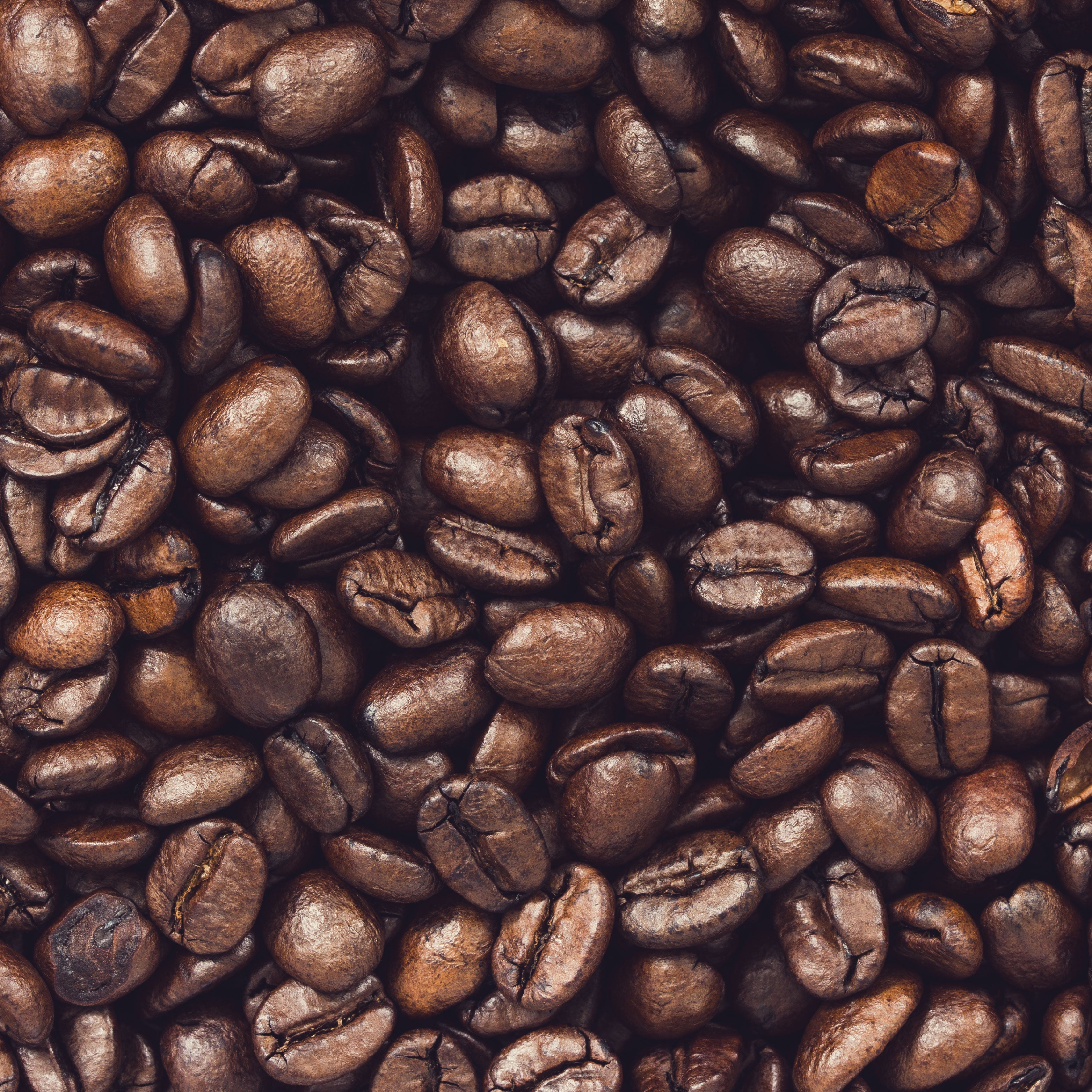 Close up of coffee beans.