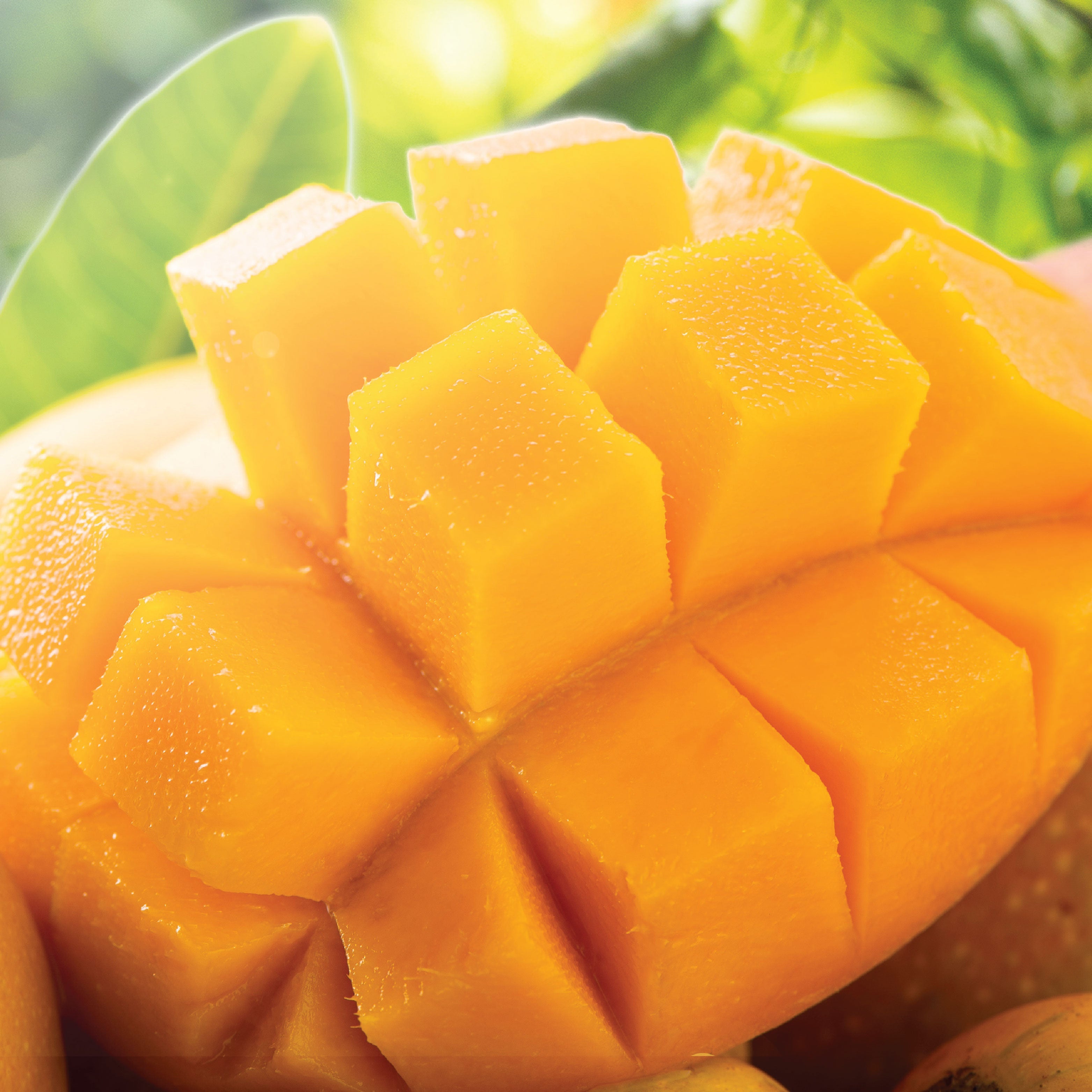 Close up of a sliced mango.
