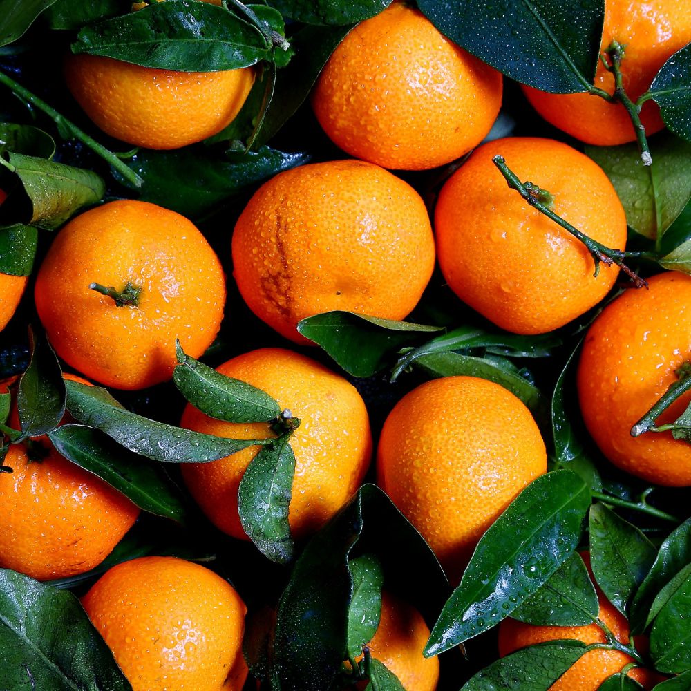 CITRUS