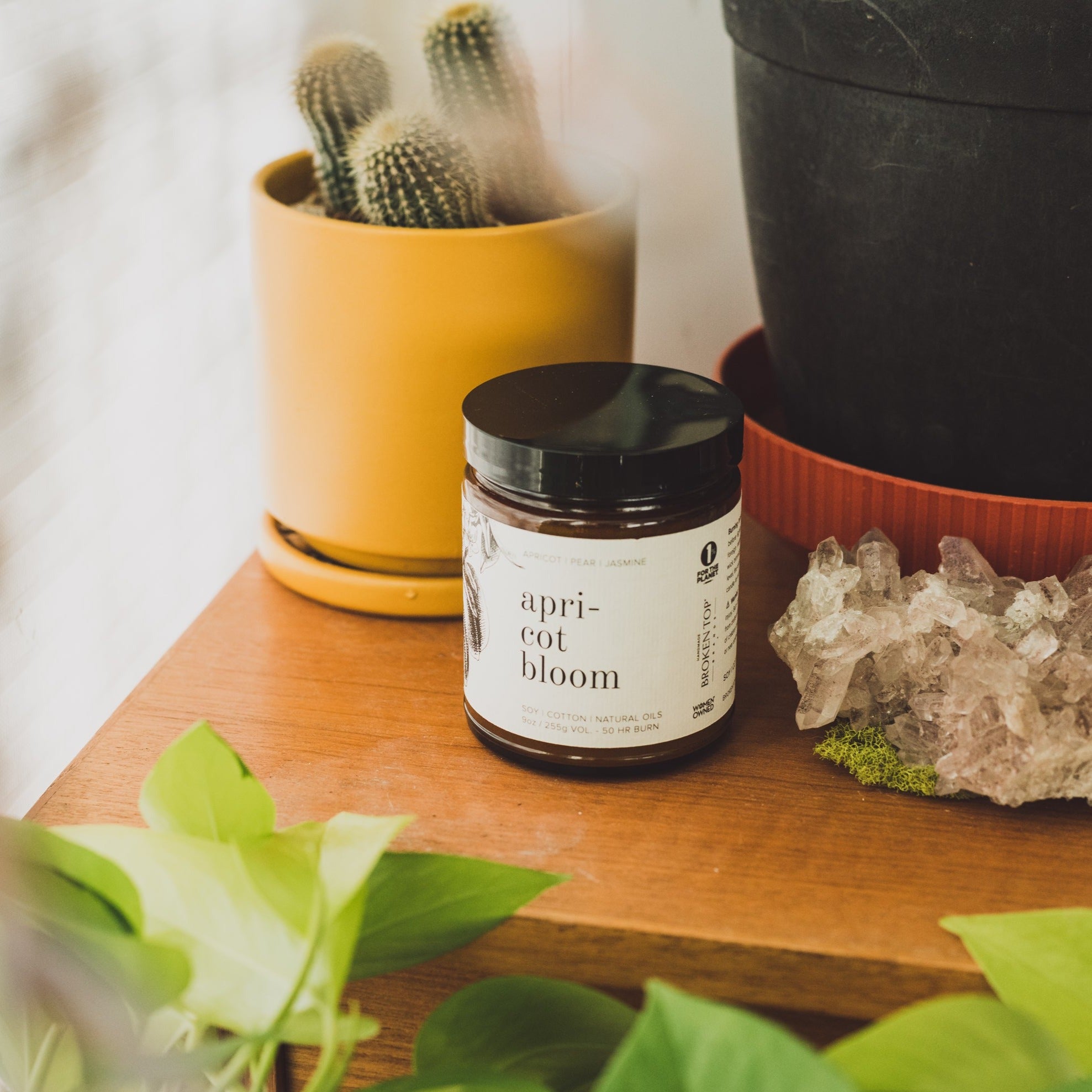 9oz Apricot Bloom Soy Candle on wooden table with small potted plants. 