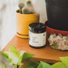 9oz Apricot Bloom Soy Candle on wooden table with small potted plants. 