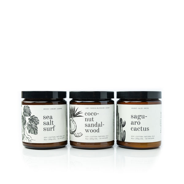 9oz Sea Salt Surf, Coconut Sandalwood, and Saguaro Cactus Soy Candles on white background. 