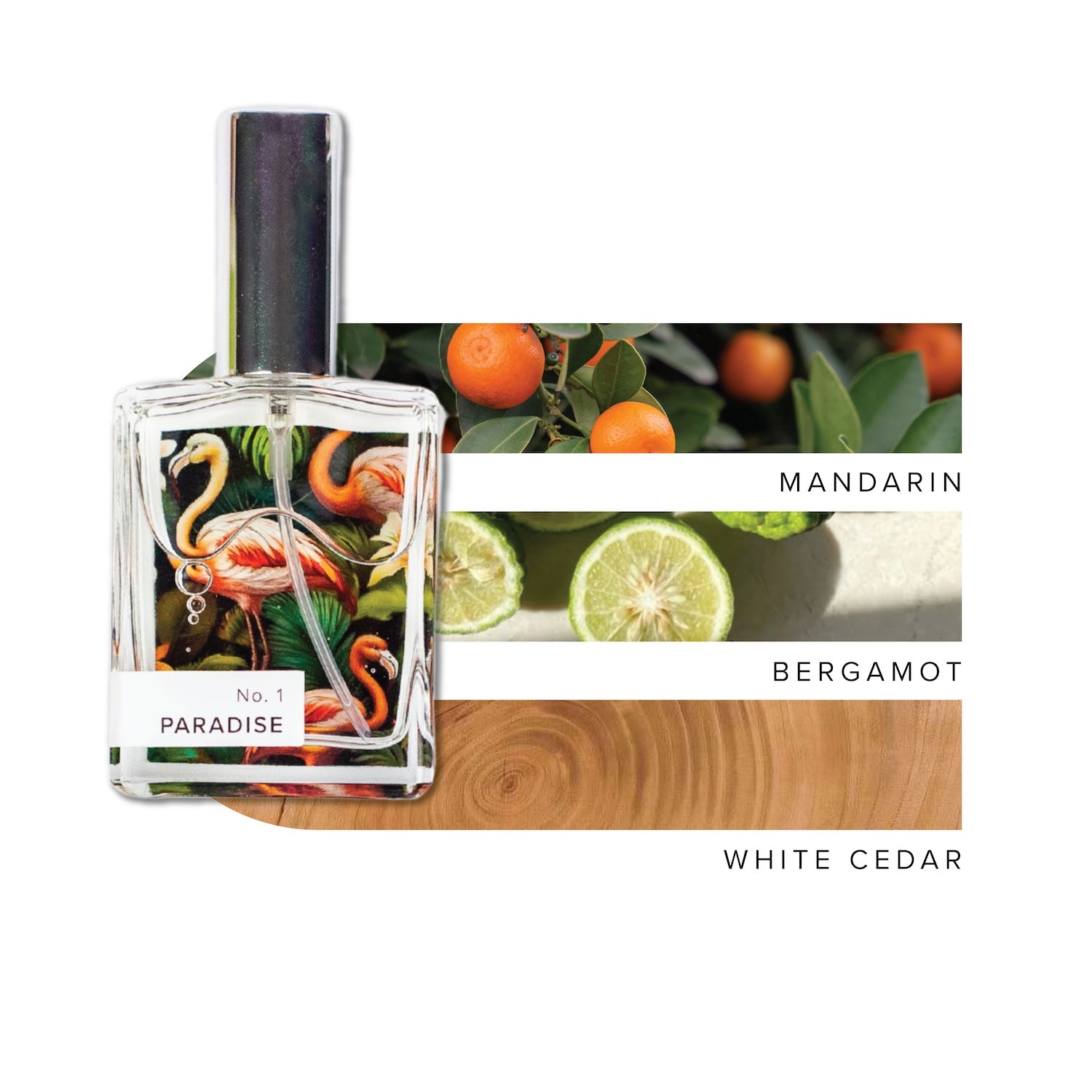 Paradise Perfume next to scent note images of mandarin, bergamot, and white cedar. 