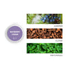 Bayberry Cedar Scent Sample next to scent not images of juniper, clove, and patchouli. 
