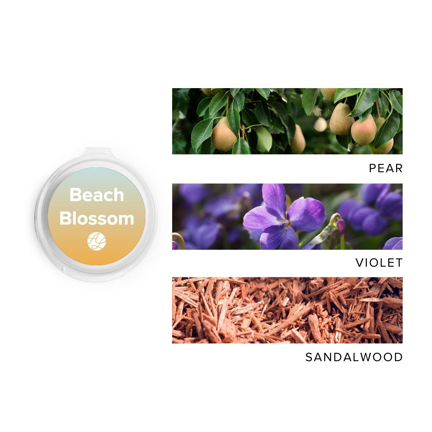 Beach Blossom Scent Sampler next to images of pear, violet & sandalwood. 