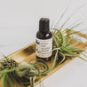2oz Coconut Sandalwood Body Lotion on small gold tray next to plants. 