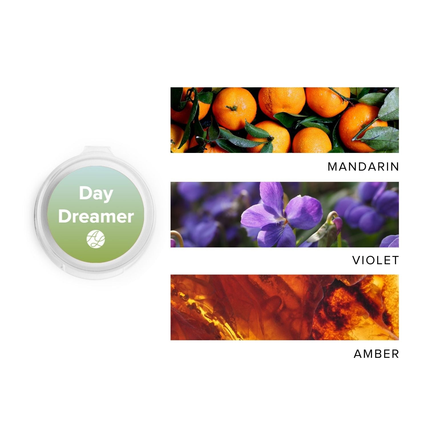 Daydreamer Scent Sample next to images of mandarin, violet & amber.