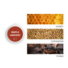 Maple Harvest Scent Sampler next to scent note images of honey, coriander, and tonka. 