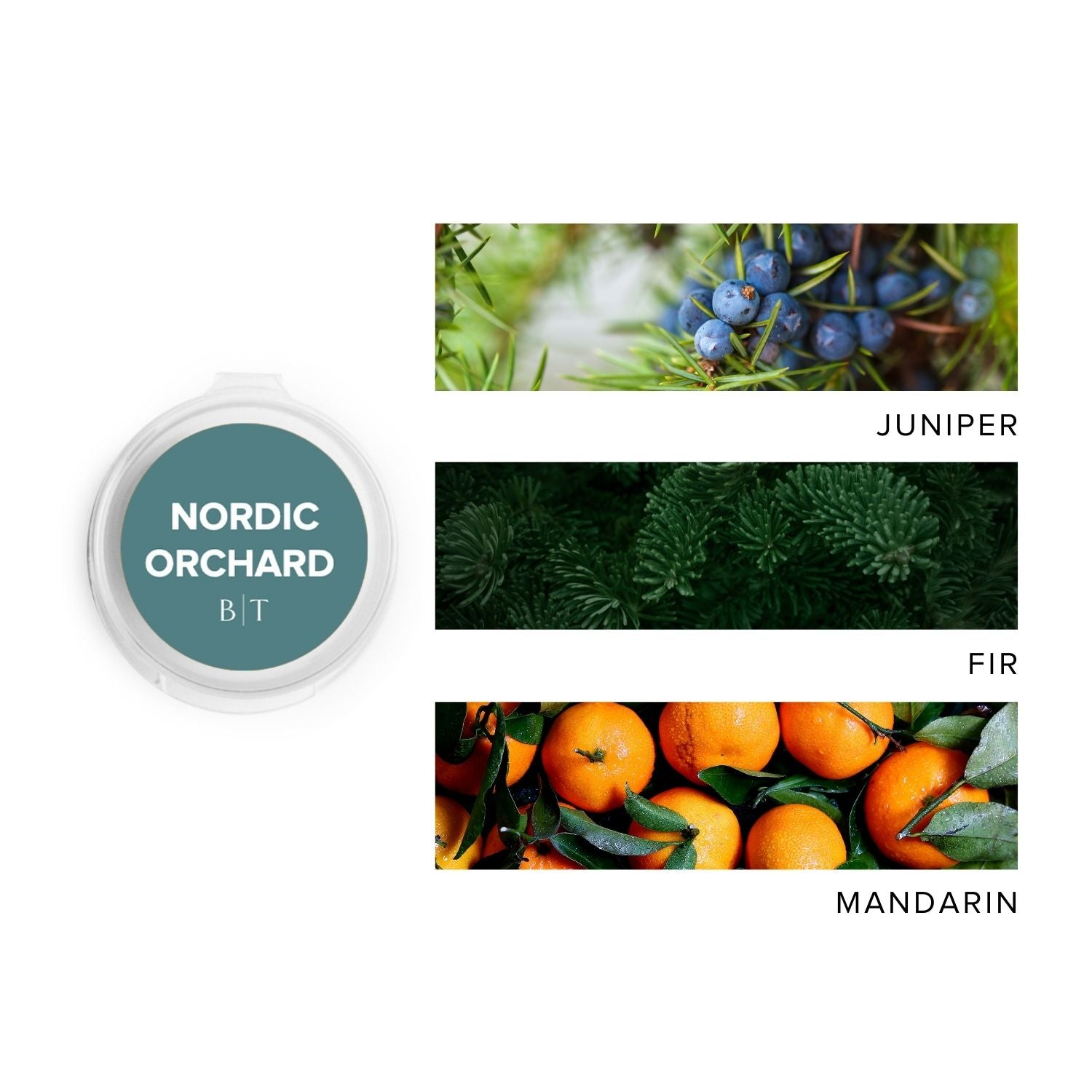 Nordic Orchard Scent Sample next to scent note images of juniper, fir, and mandarin. 