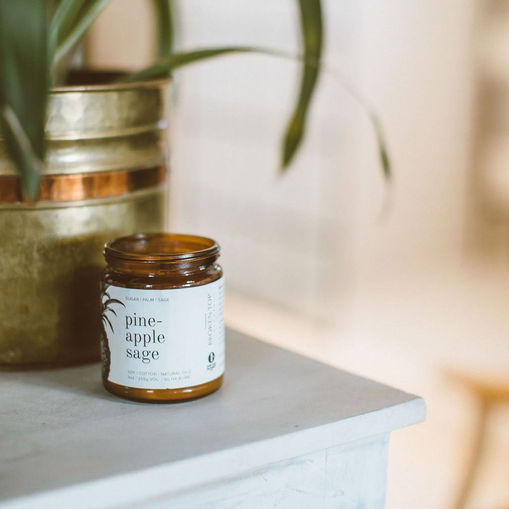 9oz Pineapple Sage Soy Candle on a table next to a plant. 