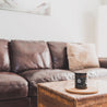 9oz Tobacco Teak Soy Candle on a wooden coffee table in a living room.