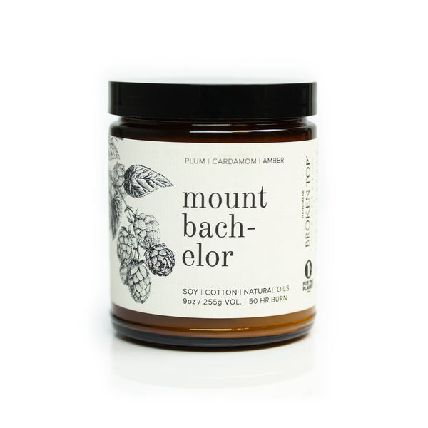9oz Mount Bachelor Soy Candle on white background. 