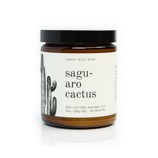 9oz Saguaro Cactus Soy Candle on white background. 