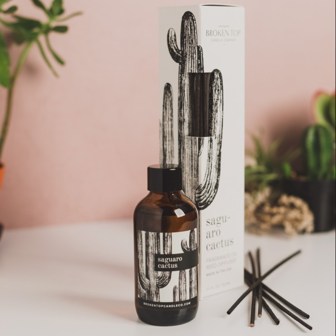 Saguaro Cactus Reed Diffuser – Broken Top Brands