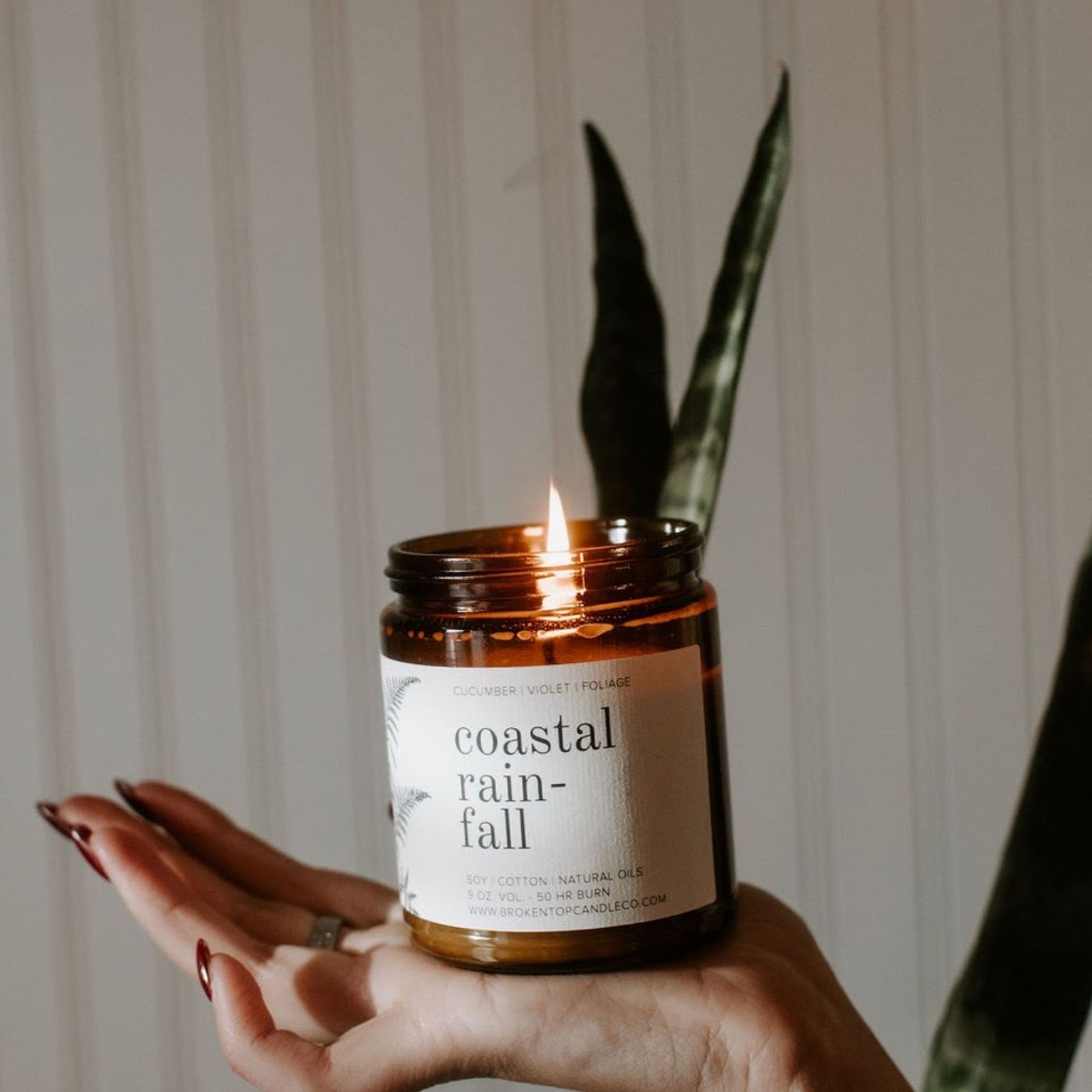 Coastal Rainfall Soy Candle